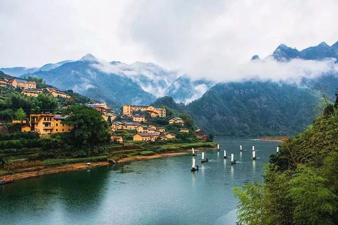 浙江小巷深处的美食秘境,探寻神秘美味天堂