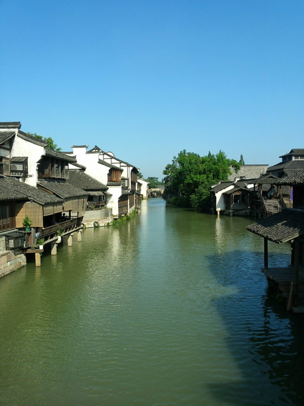 浙江小巷深处的美食秘境,探寻神秘美味天堂