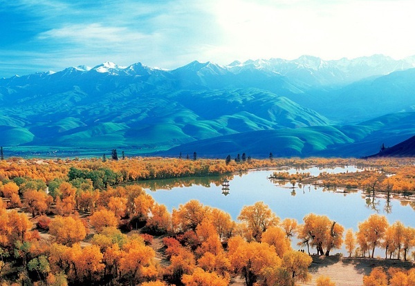 新疆之韵,探索独特文化与风情